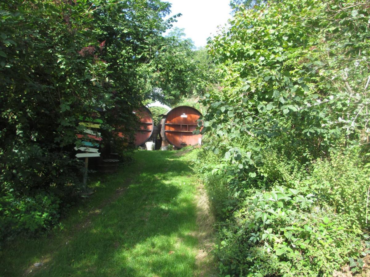 Foudres Du Chene Du Py Bed & Breakfast Villie-Morgon Exterior photo